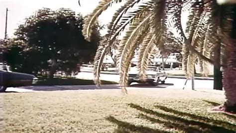 Deep Throat Ii Celebrity Facial Porn XHamster