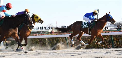 根岸s覇者レモンポップはフェブラリーs登録、来週中に出否決定へ「流動的。状態次第」田中博師 有力馬 競馬写真ニュース 日刊スポーツ