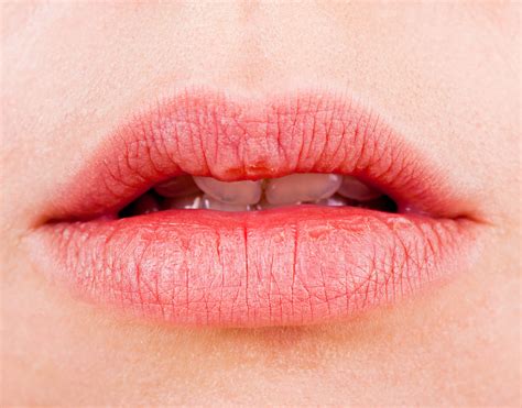 9 Alternativas Naturales Para Hidratar Tus Labios