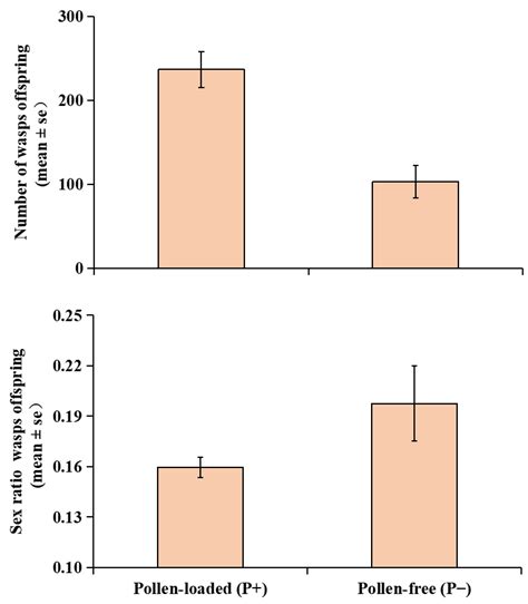 The Effect Of Ficus Semicordata Fig Quality On The Sex Ratio Of Its