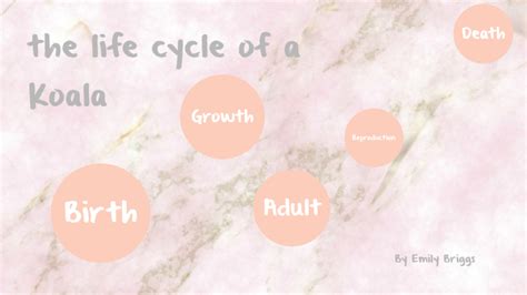 life cycle of a koala by Em Briggsy on Prezi