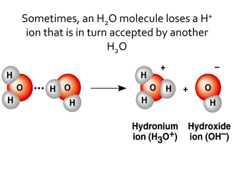 Ppt Dissociation Of Water Powerpoint Presentation Free Download Id2924294