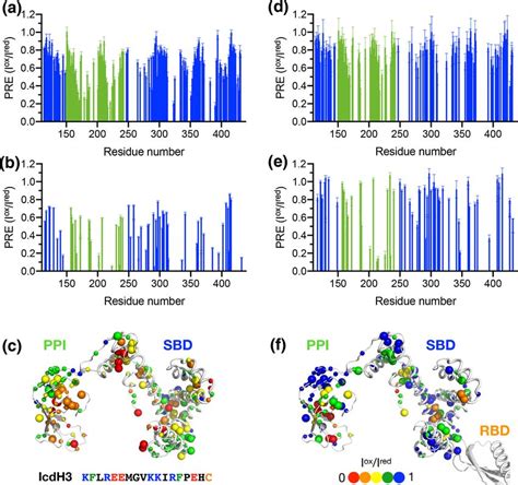 Structural Polymorphism And Substrate Promiscuity Of A Ribosome