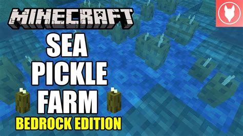 How To Grow Sea Pickles Minecraft Bedrock | Webphotos.org