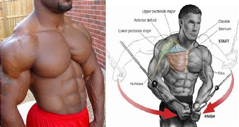 The Best Chest Workout Standing Cable Crossover