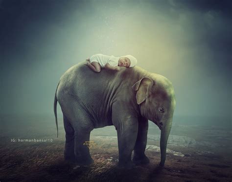 Baby Sleeping over an elephant