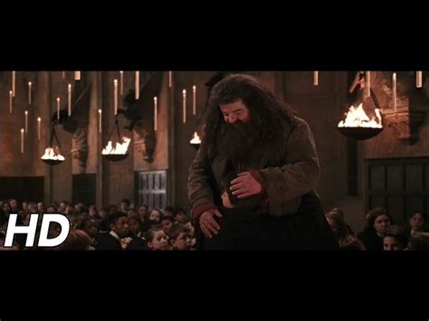 Memorable Rubeus Hagrid Scenes From Harry Potter