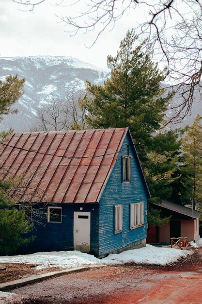 Premium Photo Traditional Thatched Hut Immersed In Natural Beauty