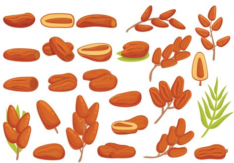 Date fruit icons set cartoon vector. Leaf food 8860373 Vector Art at ...