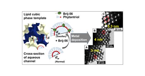 Control Of Pore And Wire Dimensions In Mesoporous Metal Nanowire