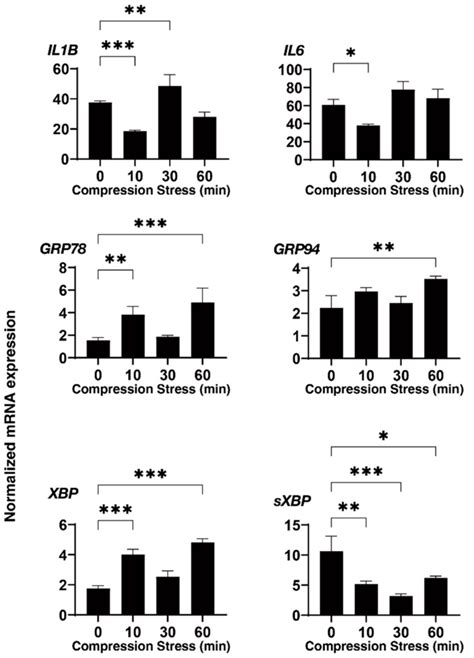 Mrna Expression Of The Inflammatory Cytokines And Er Stress Related