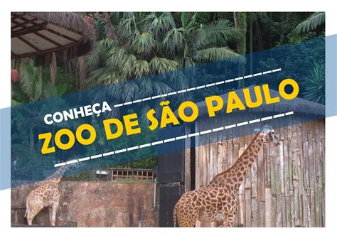 Zoo De SÃo Paulo Informativo TurÍstico Famatur Transporte E Turismo