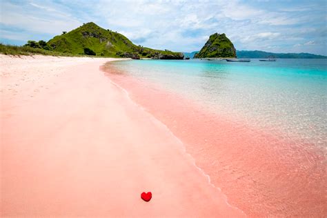 Pantai Pink Labuan Bajo, Info, Fakta & Biaya ke Sini - Open Trip ID