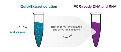 Quickextract Dna And Rna Extraction Chemistry Technology Lgc