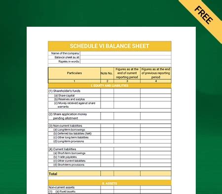 Balance Sheet Format Schedule 6