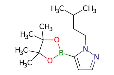 Emolecules Isopentyl H Pyrazole Boronic Acid Pinacol Ester