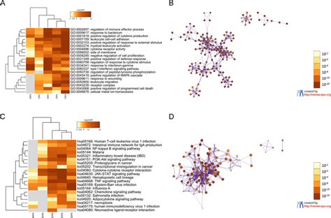 Enrichment Analysis Of Immune Related Gene Lists In The DR1 Group A