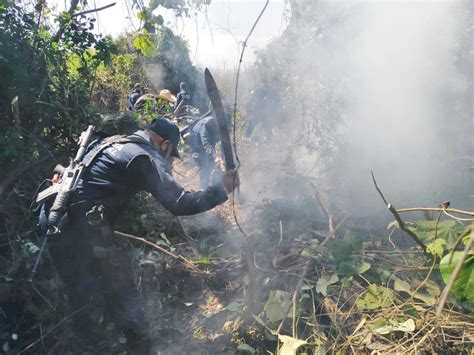 Incendios forestales dañan 20 mil hectáreas en Oaxaca Diario Marca