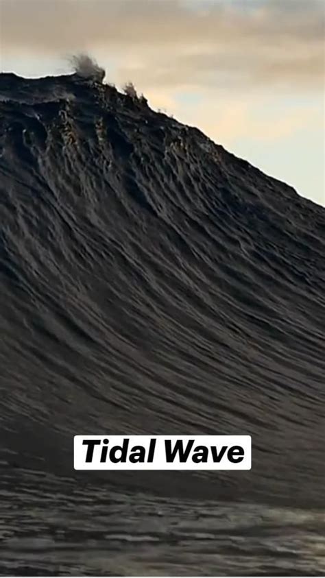 Tidal Wave | Wave illustration, Overnight waves, Tv nature