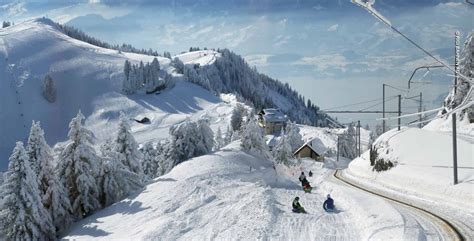 Winterwanderung Rigi Kulm Staffel Kaltbad First Rigi Kl Sterli