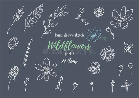 Vector Collection Of Hand Drawn Sketches With Plants Stock Vector Illustration Of Botanical