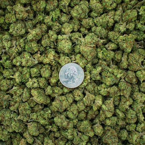 Space Burger Popcorn - PacksDash