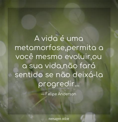 Frases De Metamorfoses Da Vida O Meio Rural Est Em Constante