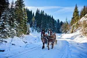 11 Best Sledding and Snow Tubing Near Breckenridge Colorado - Go Travel Colorado