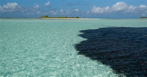 Mysterious Ship Capsizes Leading To Massive Oil Spill Off Tobago Coast