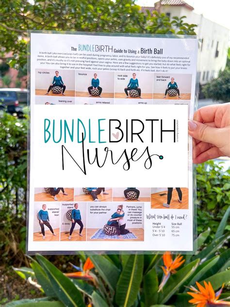 Birth Ball Guide Bundle Birth Nurses