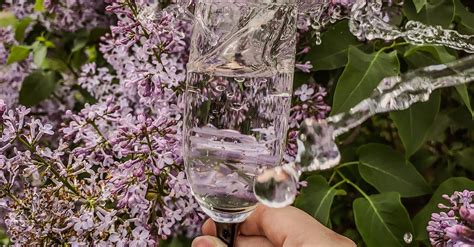 A Person Holding Clear Drinking Glass With Water · Free Stock Photo