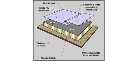 Wayne S Roofing Inc Single Ply Roof Systems Image Proview