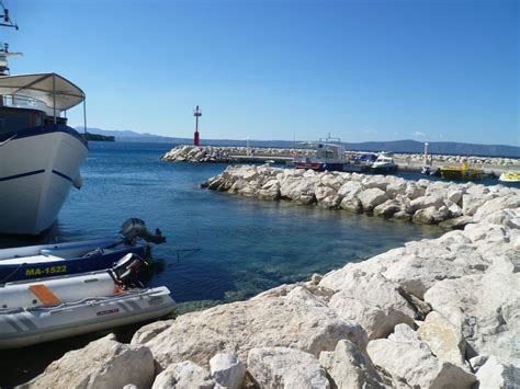 Homemade Gallery 247 IMG 220 Porn Pic