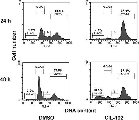 Cil 102 Interacts With Microtubule Polymerization And Causes Mitotic