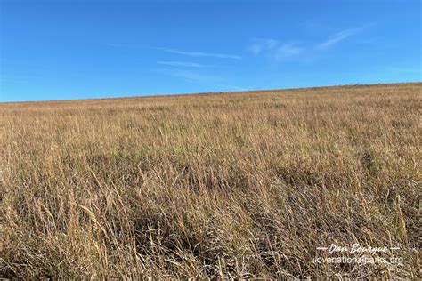 Tallgrass Prairie I Love National Parks