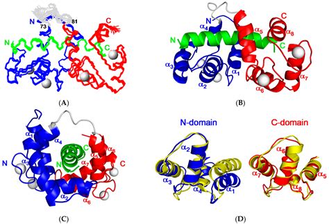 Molecules Free Full Text The Recognition Of Calmodulin To The