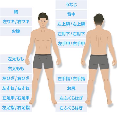 全身脱毛 【公式】メンズ医療脱毛ならメンズセイシン