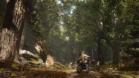 Days Gone купить на ПК