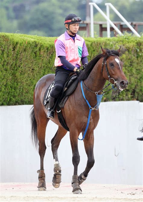 【東京ダービー】ラムジェットが1週前追い切りで半馬身先着 三浦皇成騎手「少し前向きさが出てきました」 ライブドアニュース