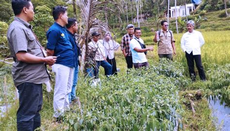 Banting Setir Mulai Petani Cabai Kini Sebagai Mentor TIMES Jatim