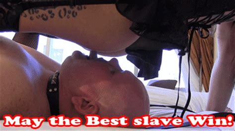 AW Mistress Can Never Have Enough Bitches Ass Worship Club Stiletto FemDom Clips Sale