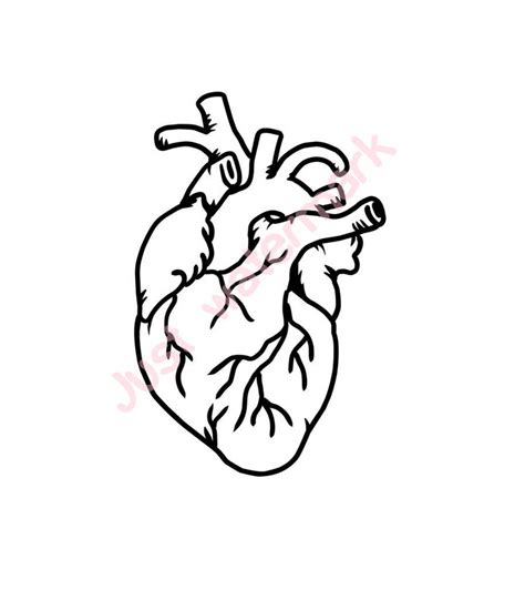 Heart Line Drawing at PaintingValley.com | Explore collection of Heart ...