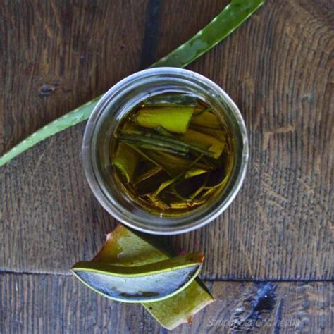 How To Make Aloe Vera Oil Ways Simplybeyondherbs