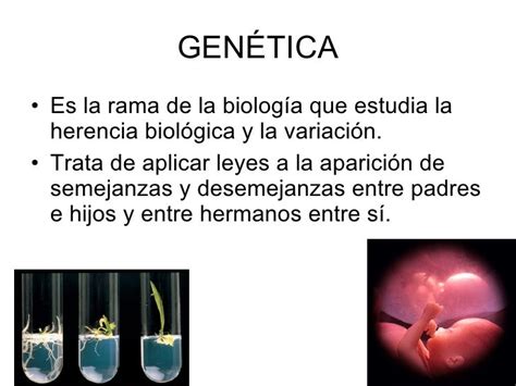 Herencia Y Genética