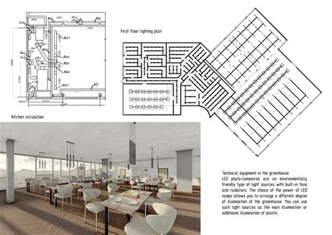 Architecture project // Reflective Glass Facade and Natural Wood