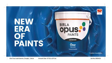 Enter The New Era of Paints with Birla Opus! - The Live Nagpur