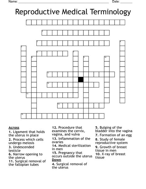 Medical Terminology Crossword Puzzle Chapter Wordmint