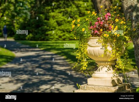 Flower Planter Hi Res Stock Photography And Images Alamy