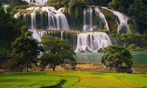 From Hanoi 2 Day Ban Gioc Waterfall Tour GetYourGuide