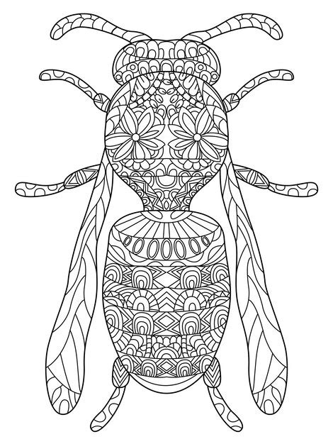 Avispa Para Colorear Vector Para Adultos Vector Premium